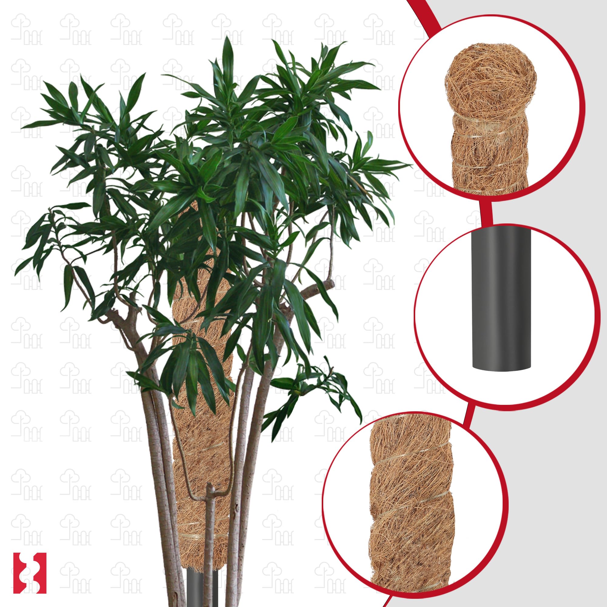 KOTARBAU 4er Set Moosstab fr Monstera -  3,2 x 50 cm - Rankhilfe fr  Zimmerpflanzen - Pflanzstab - Kokosstab fr Philodendron & Efeutute -  Pflanzensttze aus Kokosfaser - Braun : Amazon.de: Garten