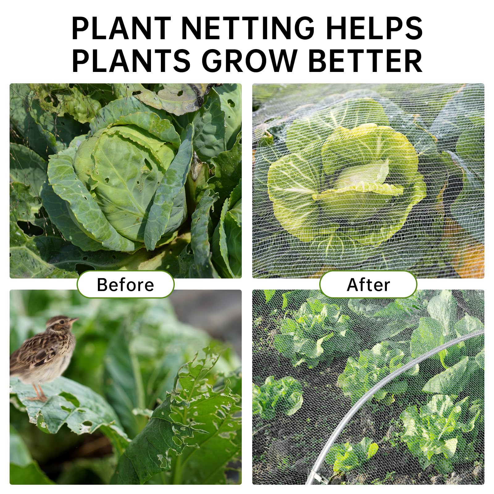 YEJAHY 3 x 5 m Rete da giardino per piante – Rete a maglia fine per insetti, ortaggi, fiori, frutta, giardino, esterni, barriera per uccelli (60 maglie