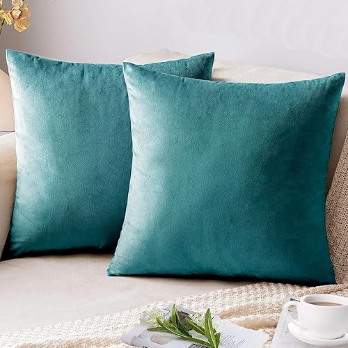 Miniatura 8 de Juego de 2 fundas de almohada de terciopelo de 20 x 20 pulgadas, fundas de almohada decorativas suaves y cuadradas para sofá, dormitorio, automóvil,