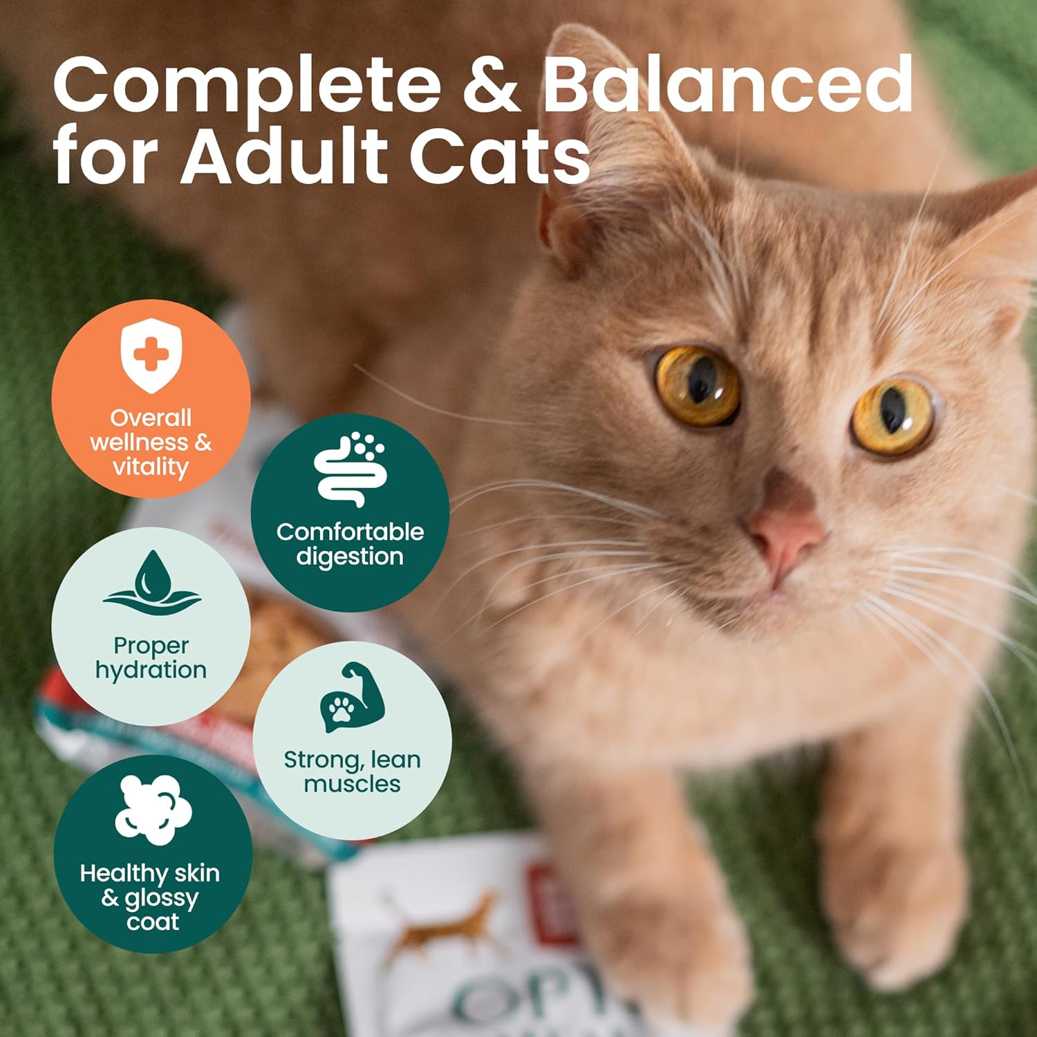 Optimeal Wet Cat Food Grain Free - Chicken Tender Morsels, High Protein Premium Nutrition Made with Natural European Ingredients, Adult Cat Pouches 3oz (Pack of 12)