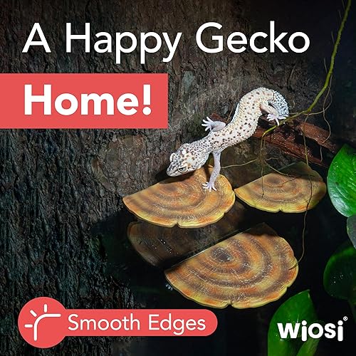 Miniatura 2 de Wiosi Estantes flotantes de 5 piezas con forma de hongo de pavo para decorar la pared Estantes para pared de habitación Estantes flotantes