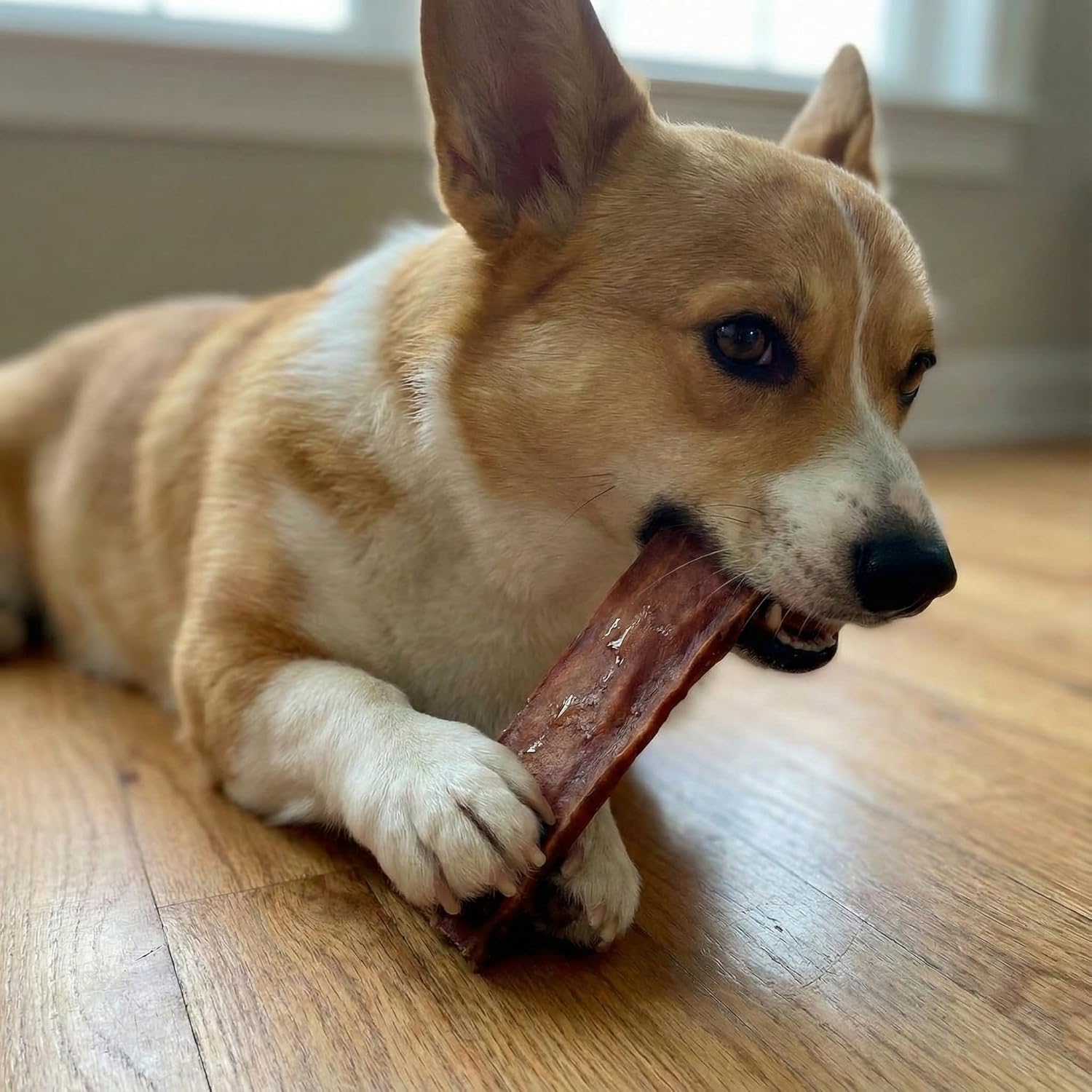 Fieldcrest Farms Nothin to Hide Flip Chips Dog Chews - Natural Rawhide Alternative Treats for Dogs, Collagen Based Snack for Moderate Chewers Up to 35lbs, Beef Bully Flavor -1 Pack (8 Chips)