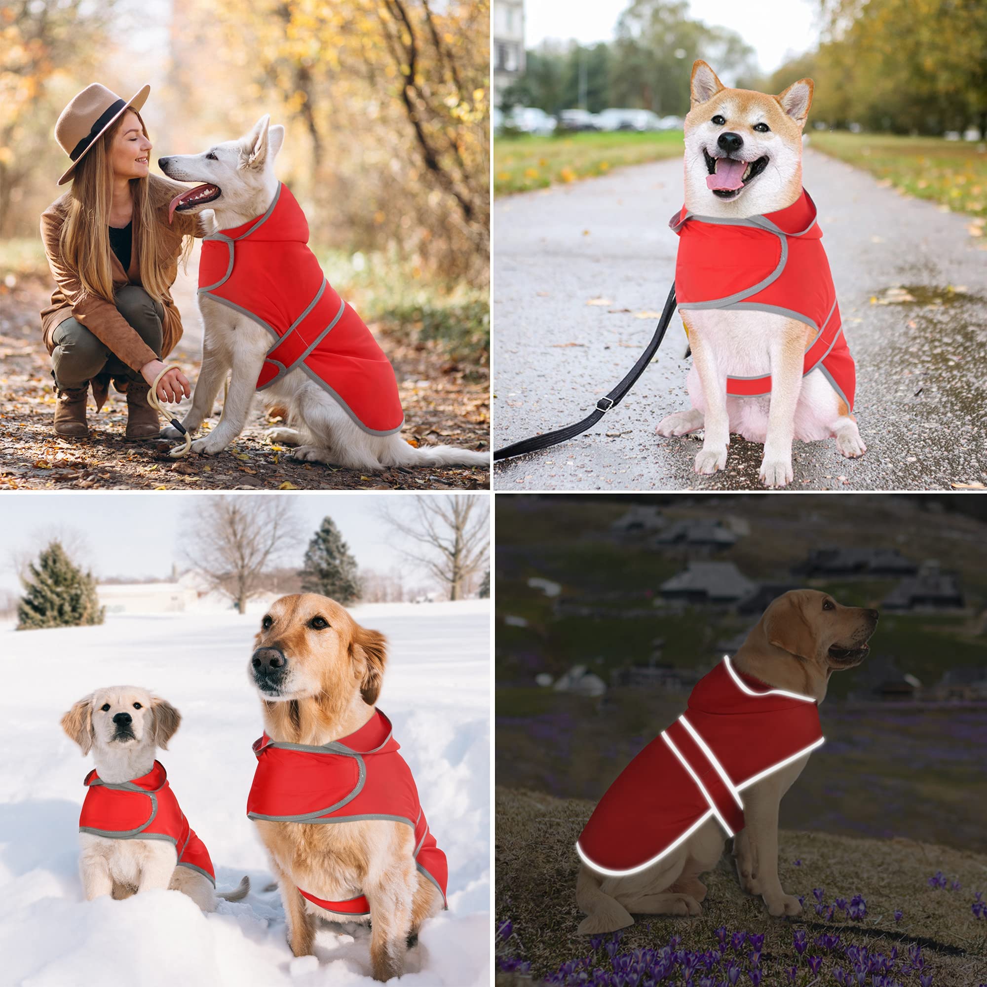 Impermeable Impermeable para Perro con Capucha y Agujero para Correa, para Perros y Cachorros pequeños, medianos y Grandes