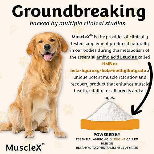 Miniatura 6 de Fórmula muscular canina para gatos y perros pequeños con 300 mg de CaHMB y vitamina D3  Fórmula natural de construcción muscular  Ayuda a reducir la