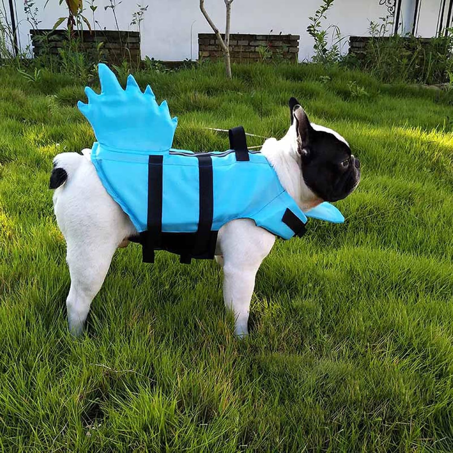 Adjustable Dog Life Jacket Vest Saver Safety Swimsuit Preserver with Handle Floatation Preserver for Surfing, Boating, Swimming (Color : Blue, Size : X-Small)