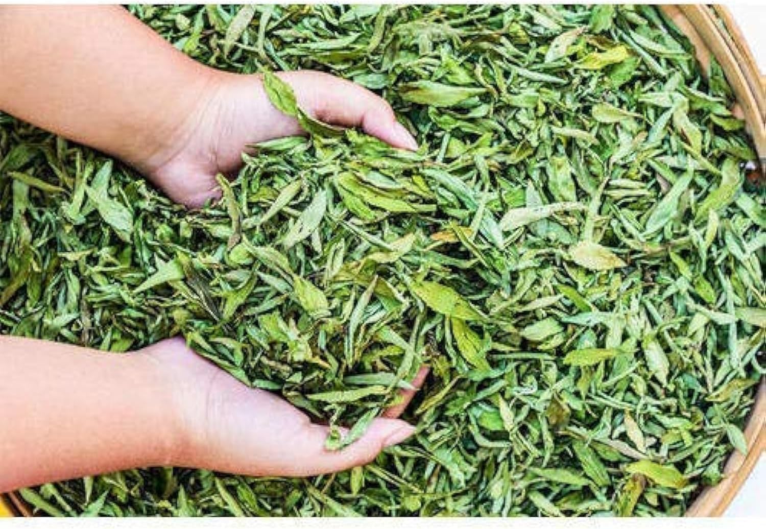 A D Food & Herbs Organic Dried Stevia/Stevia Rebaudiana Herbal Leaves 50 Gms