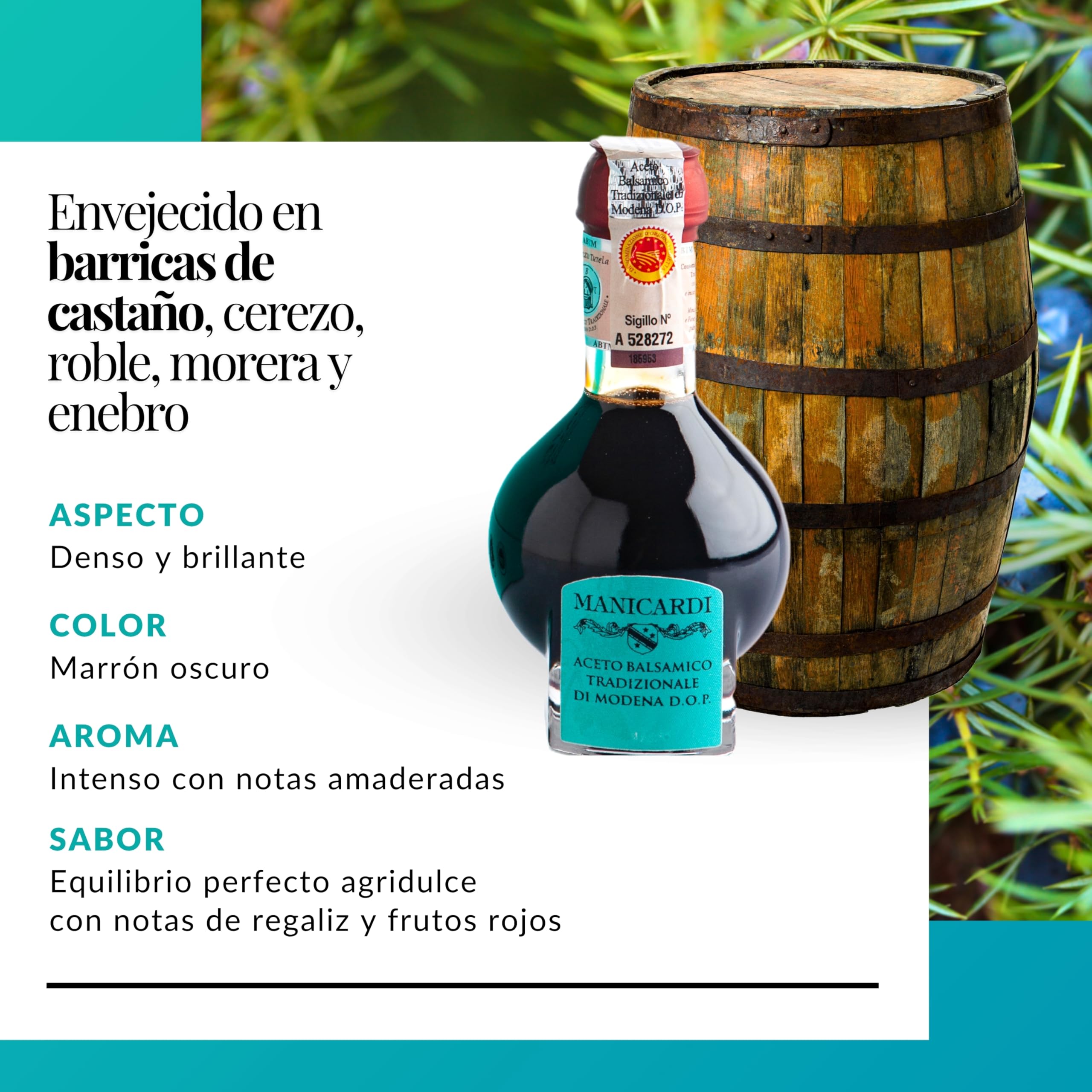 MANICARDI Vinagre Balsámico Tradicional de Módena DOP Afinado - Envejecido 12 Años - Perfecto para snacks, pasta, verduras, aliños para ensalada y carne - Producto en Italia, 100 ml