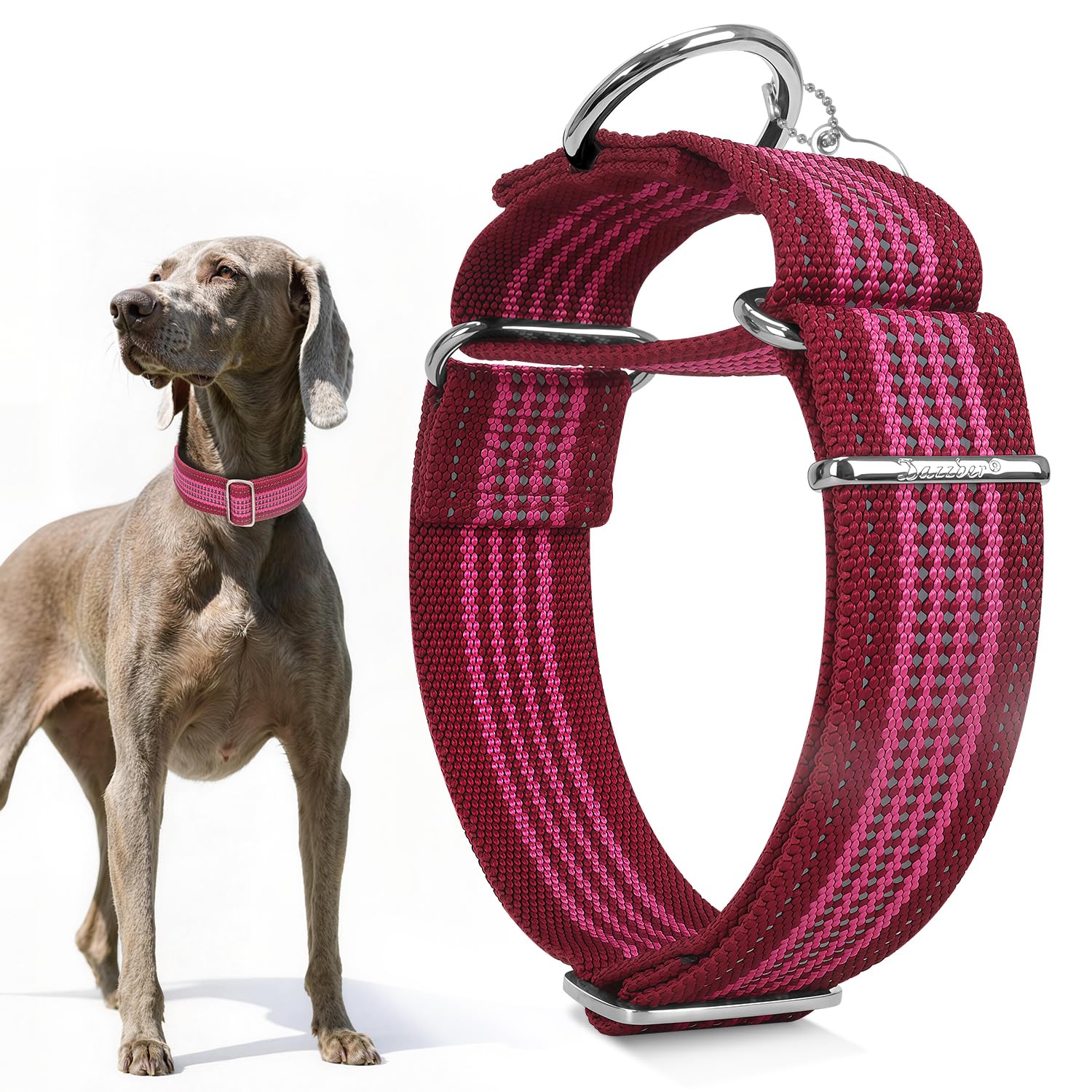 Collier martingale bordeaux protecteur et élégant pour le bien-être de votre chien