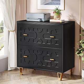 Tribesigns 2-Drawer Lateral File Cabinet, Modern Black Filing Cabinet for Legal/Letter/A4 Size, Large Storage Filing Cabinet Printer Stand for Home Office, Black and Gold