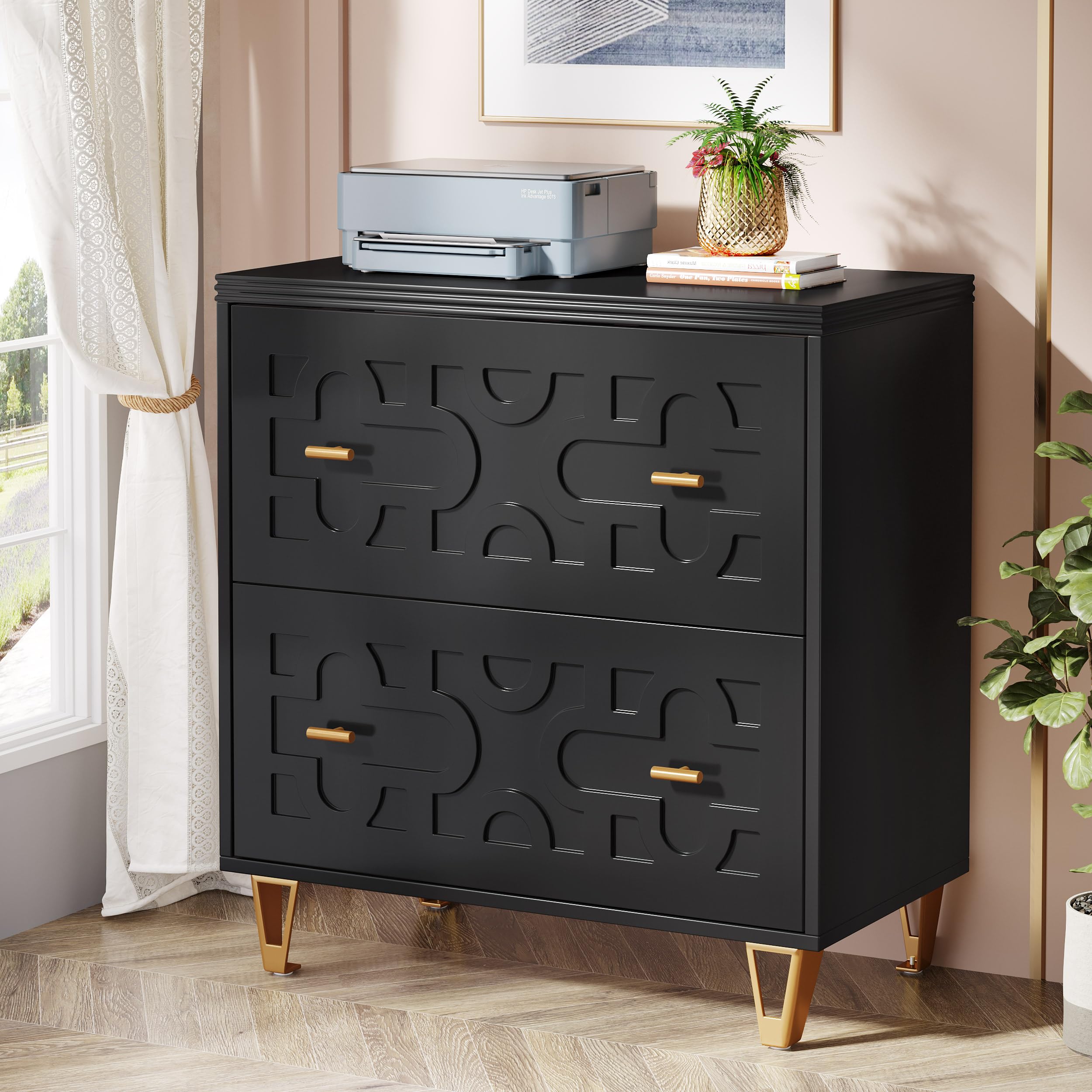 Amazon.com: Tribesigns 2-Drawer Lateral File Cabinet, Modern