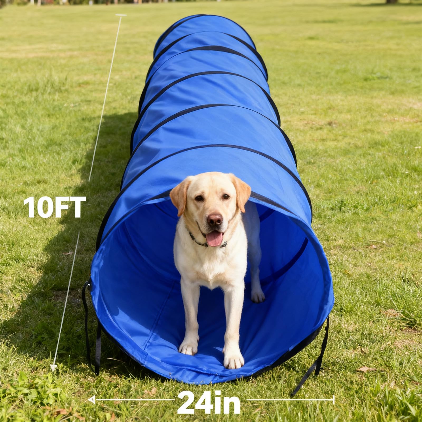 Dog Agility Tunnel with Carry Bag and Ground Spikes, Foldable 10-Foot Tunnel for Dog Training, Dog Agility Equipment for Outdoor, Backyard, Indoor Use, KINETOVOLTA - image 4