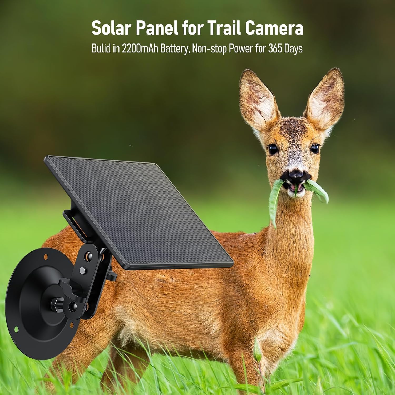 VOOPEAK Solar Panel providing power to a trail camera in a field