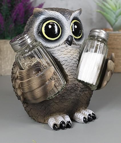 Miniatura 8 de Ebros Gift Whimsical Owlet Baby Owl con grandes ojos redondos de cristal, salero y pimentero, juego de figuras de exhibición de 6 pulgadas de alto,