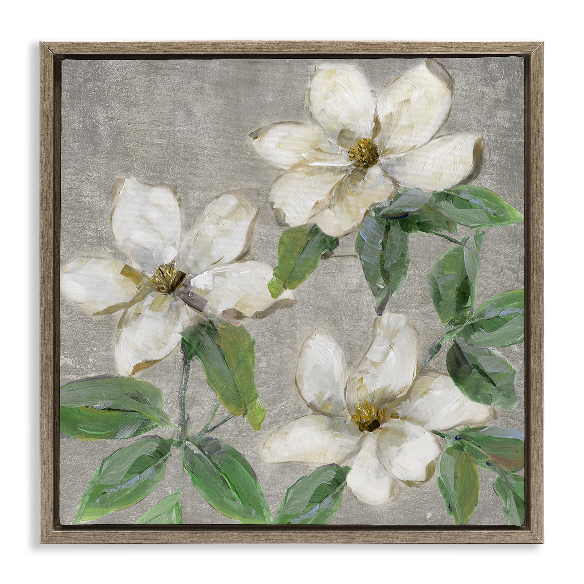 Stupell Industries Montalcino Elm (Textured) Ivory Magnolia Trio Floral Wall, 24 X 24 Inch Canvas In Floater Frame