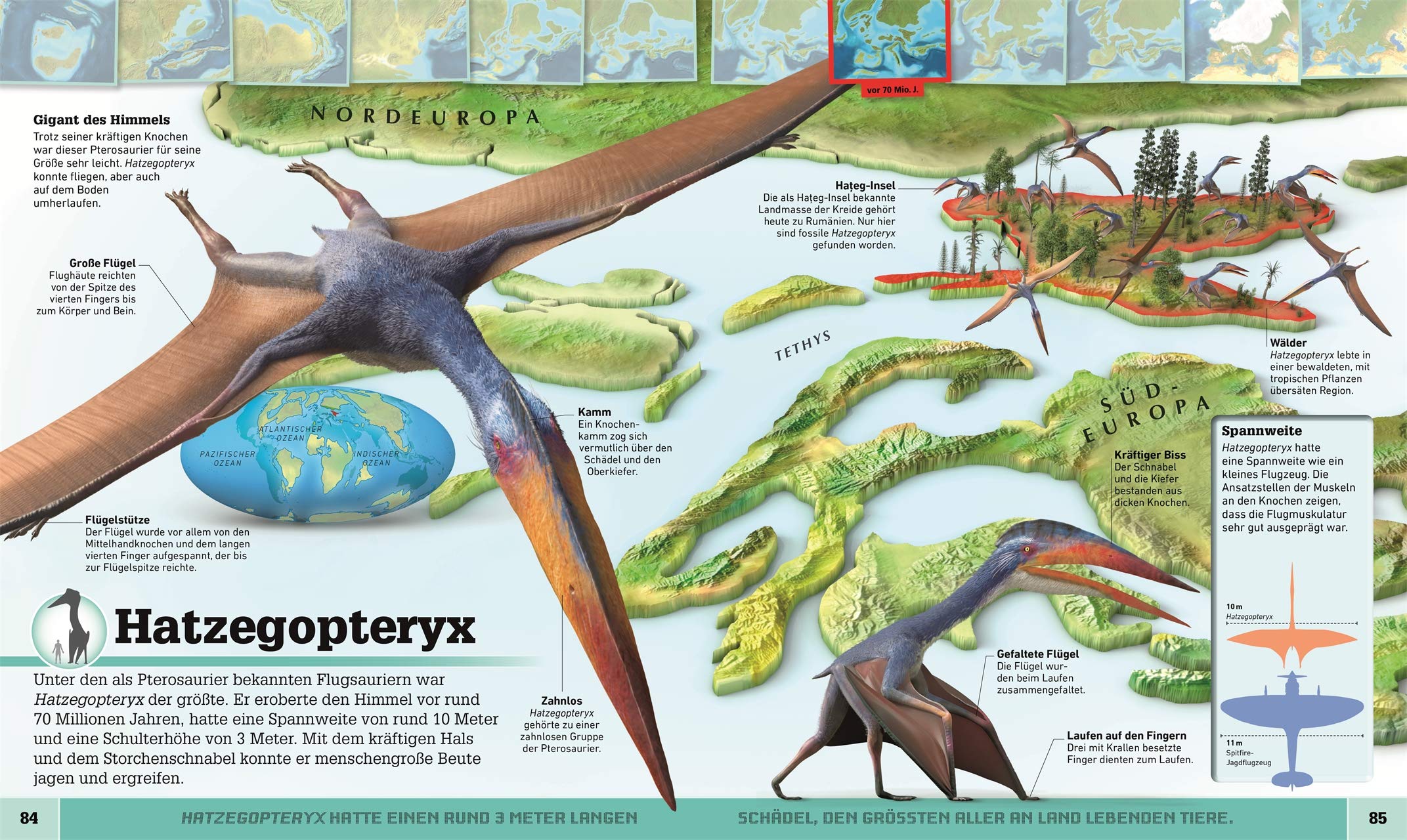 Dinosaurier-Atlas: So hast du die Welt der Urzeit noch nie gesehen. Rund 50 spektakuläre 3-D-Karten erläutern die Lebensräume von rund 40 Dino-Arten. Für Kinder ab 8 Jahren (Wo in aller Welt?)