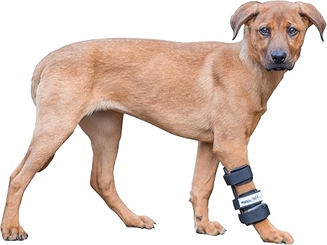dog splint cover