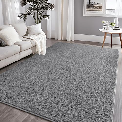 Larhom Alfombras grandes y modernas para dormitorio, sala de estar, alfombra gris de 5 x 7 pies, alfombra de interior de espuma viscoelástica