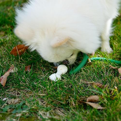 Miniatura 6 de MON2SUN Huesos de cuero crudo para perros, pequeños huesos de cuero crudo naturales, 2.5 pulgadas, 40 unidades para cachorros y perros pequeños