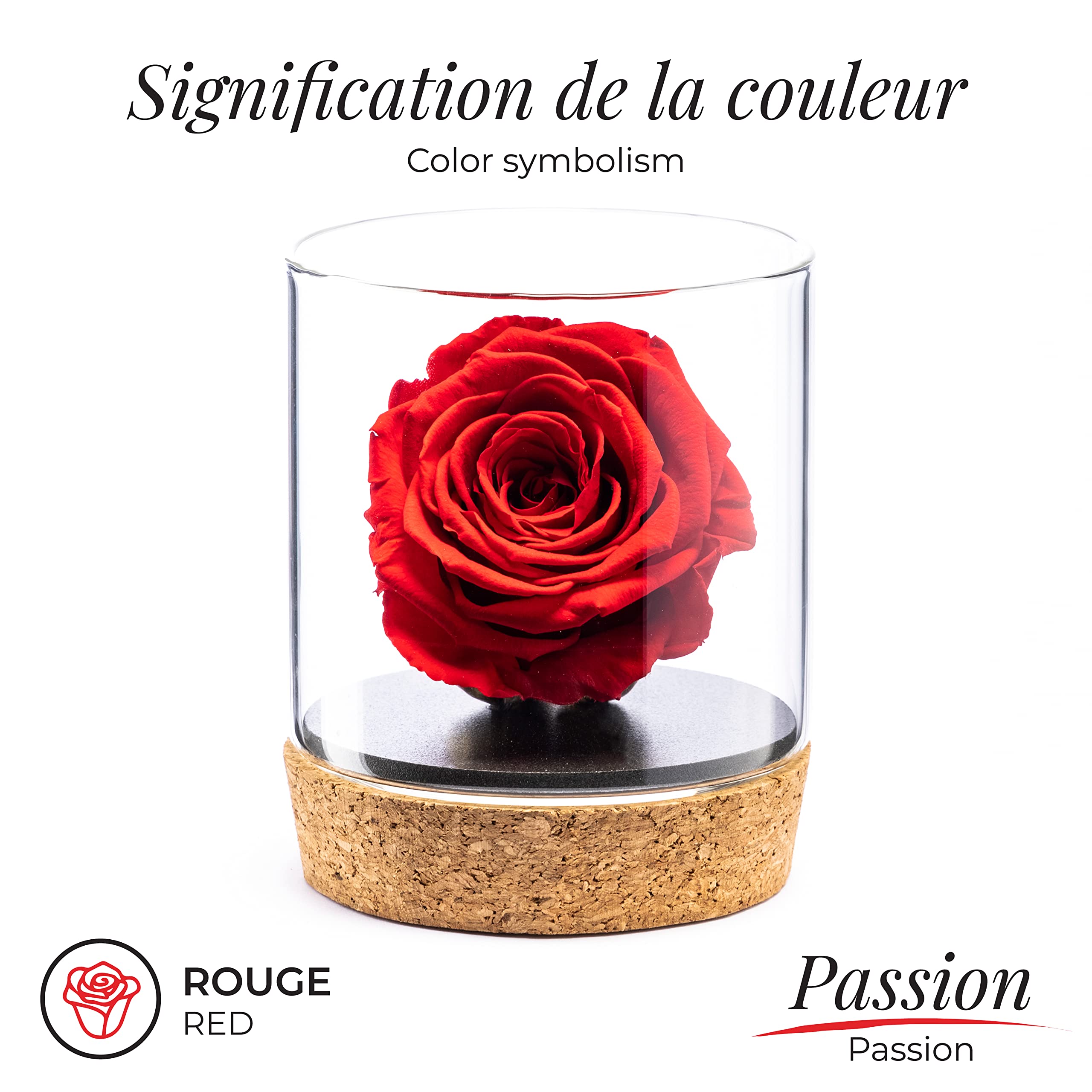 Amoroses Bijou - Rose éternelle stabilisée avec Calice plaqué Or 24K dans Un conteneur en Verre | Idée Cadeau