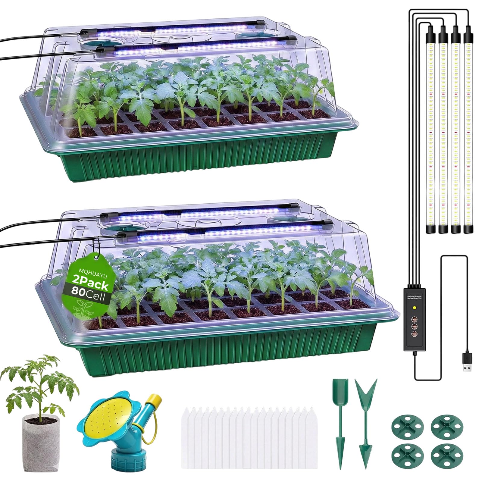 hardy plants for indoors Hardy Houseplants Duo, Small/Medium in Black | Grant