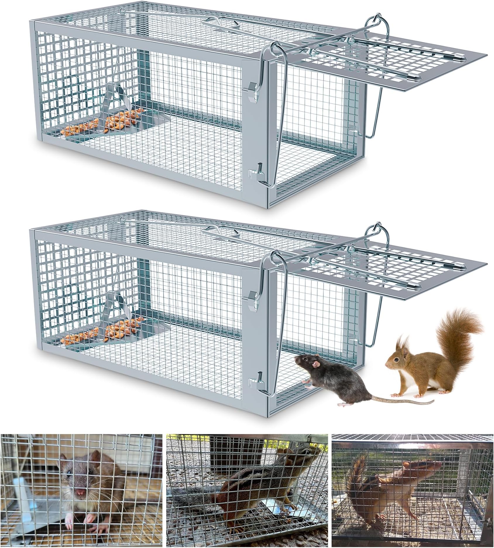 Amazon.com : 2-Pack Humane Rat Traps, Live Mouse Rat Cage Traps Catch ...
