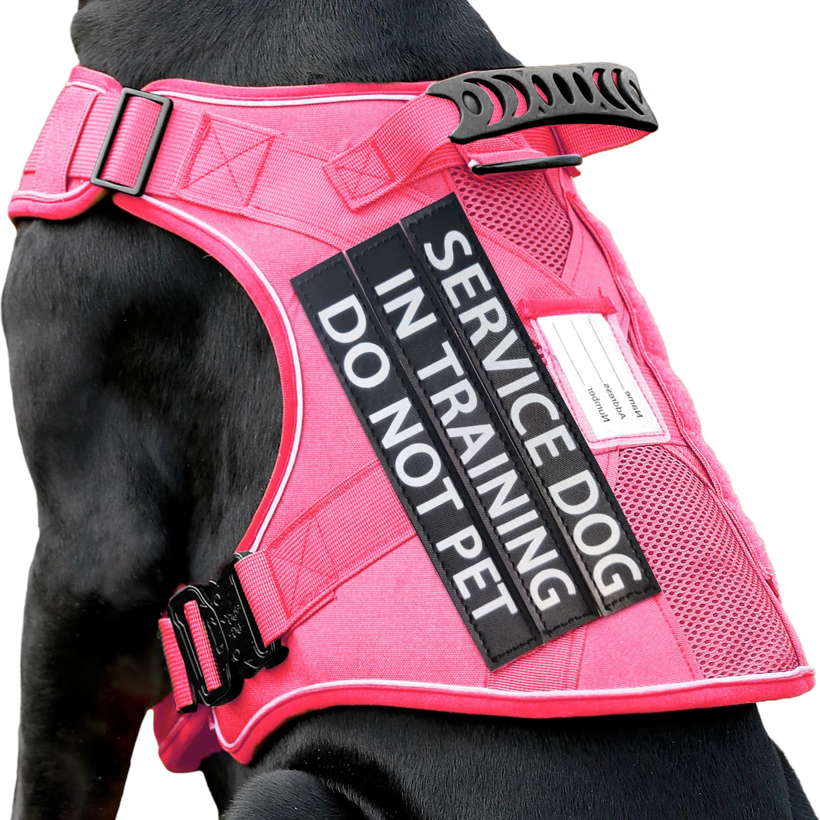 Service Dog Vest for Medium Dogs, Service Dog in Training Harness with Patches, Full Metal Buckles Adjustable Dog Vest for Training Walking