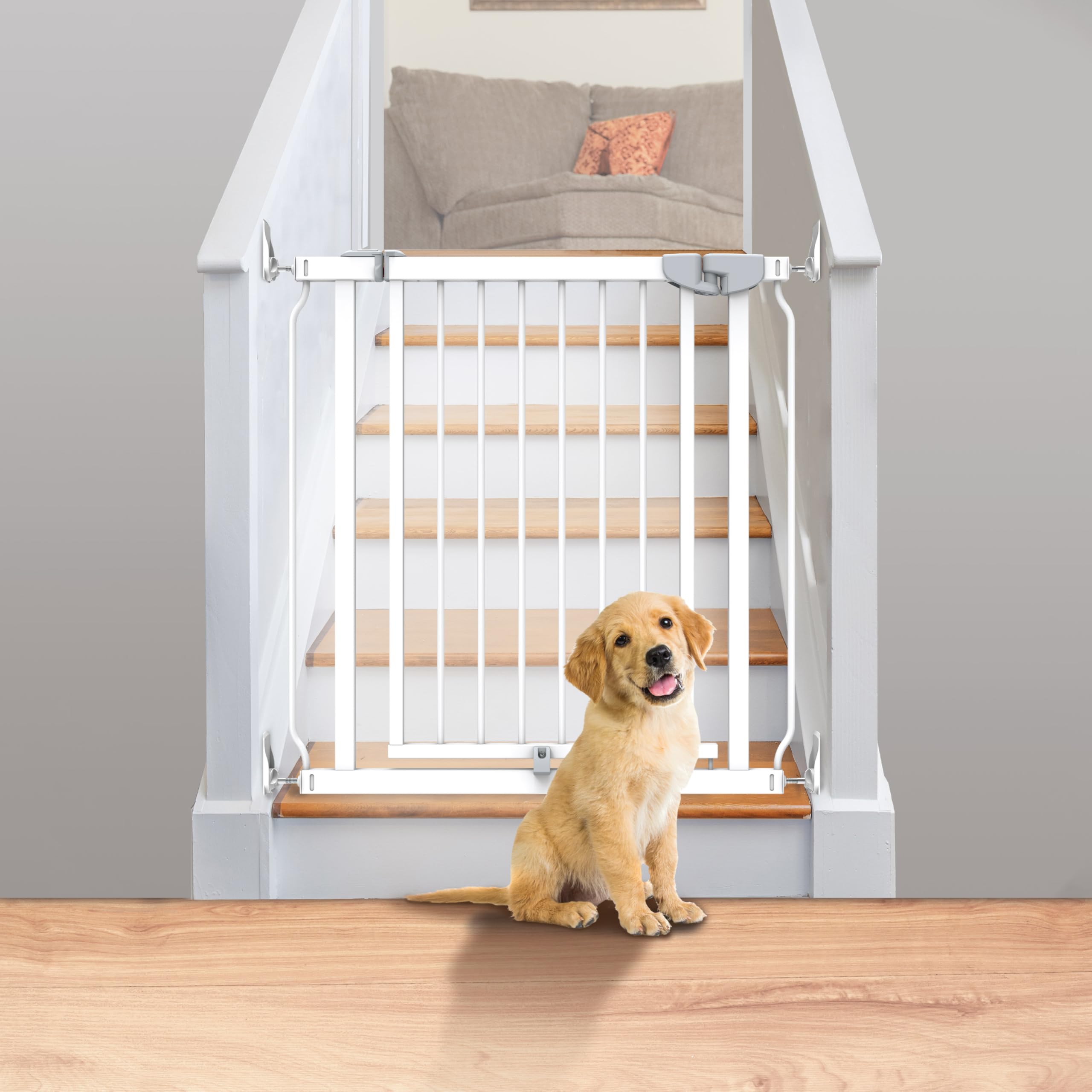 Ingenuity The Doorway Series Easy Install Cancelletto di Sicurezza per Bambini e Cani, Larghezza 73–80 cm, Altezza 75 cm, Montaggio a Pressione o con Viti, Bianco