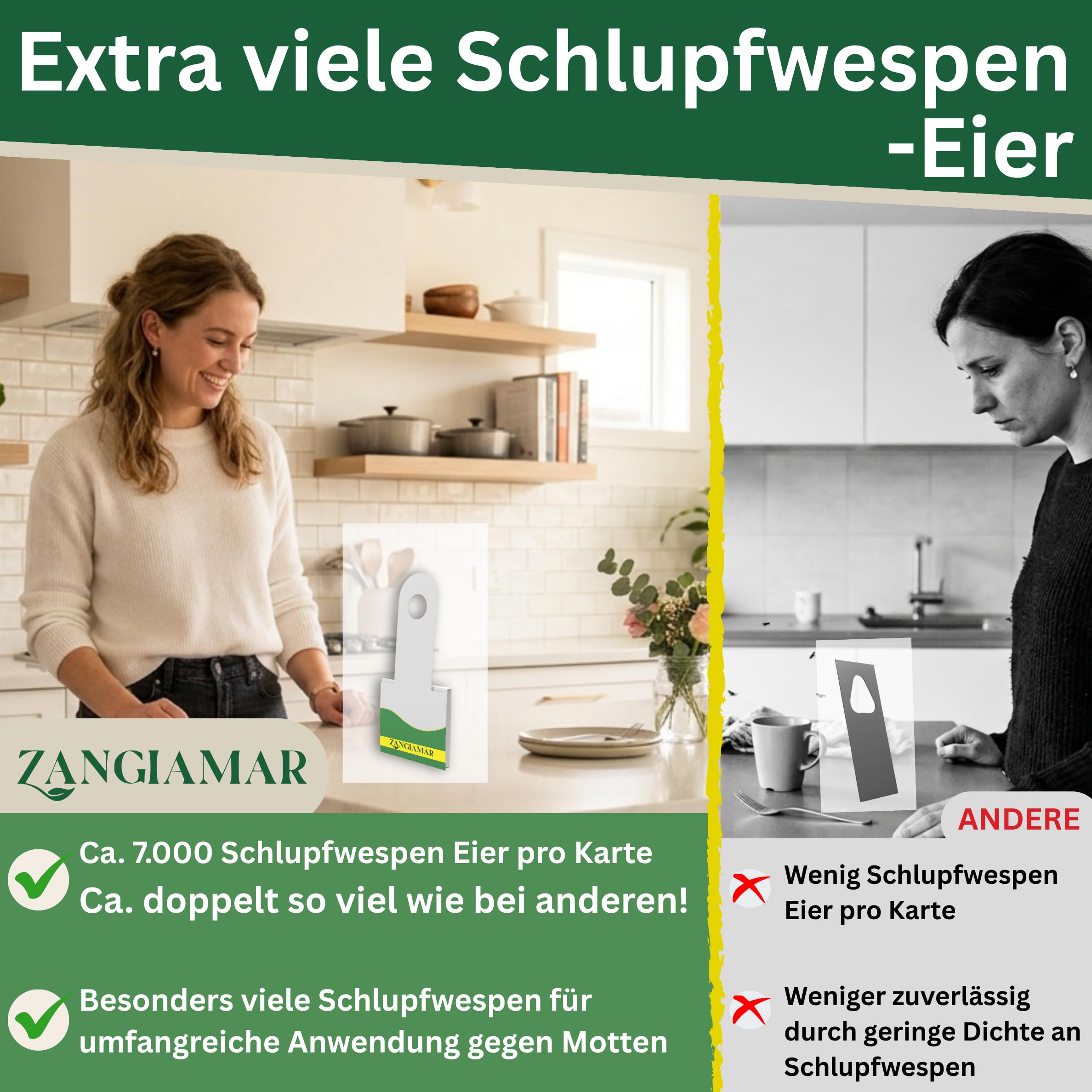 Schlupfwespen gegen Lebensmittelmotten, XXL Menge, je 7000 Eier, 20 Karten | Schütze, was dir wichtig ist - frei von Motten und Sorgen. | Nur für kurze Zeit: 10 % Rabatt-Coupon