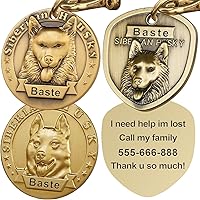 Vista 8 de Etiquetas para Perros Golden Retriever Personalizadas para Mascotas Etiqueta de Identificación de Nombre de Perro Grabada Personalizada de Cobre