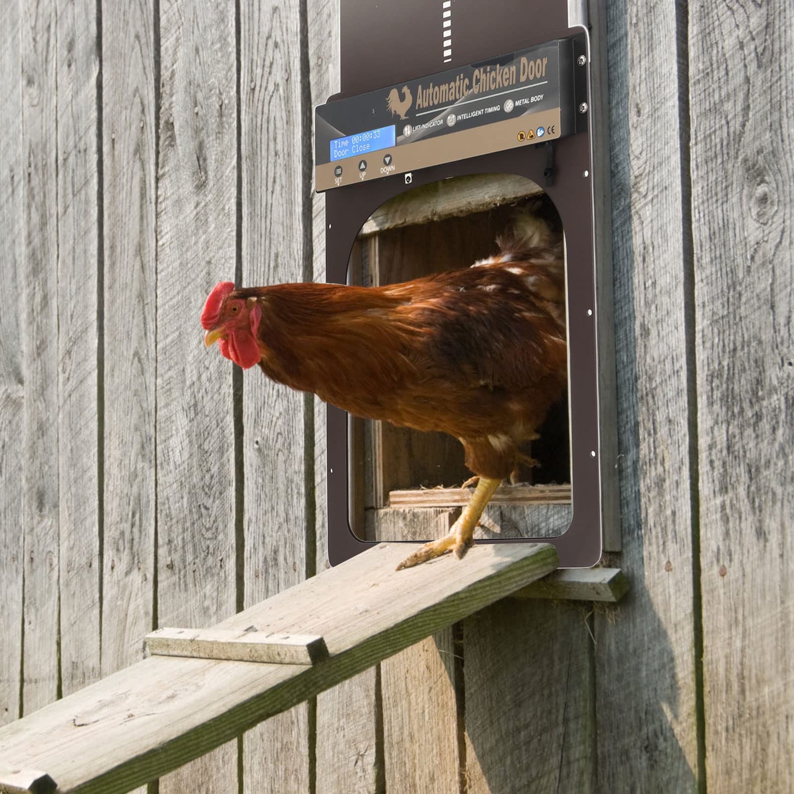 Porta Automatica per pollaio, Porta per polli alimentata a energia Solare/Batteria con Timer, sensore di Luce e Telecomando, apriporta in Alluminio Multi modalità per oche, Anatre, pollame