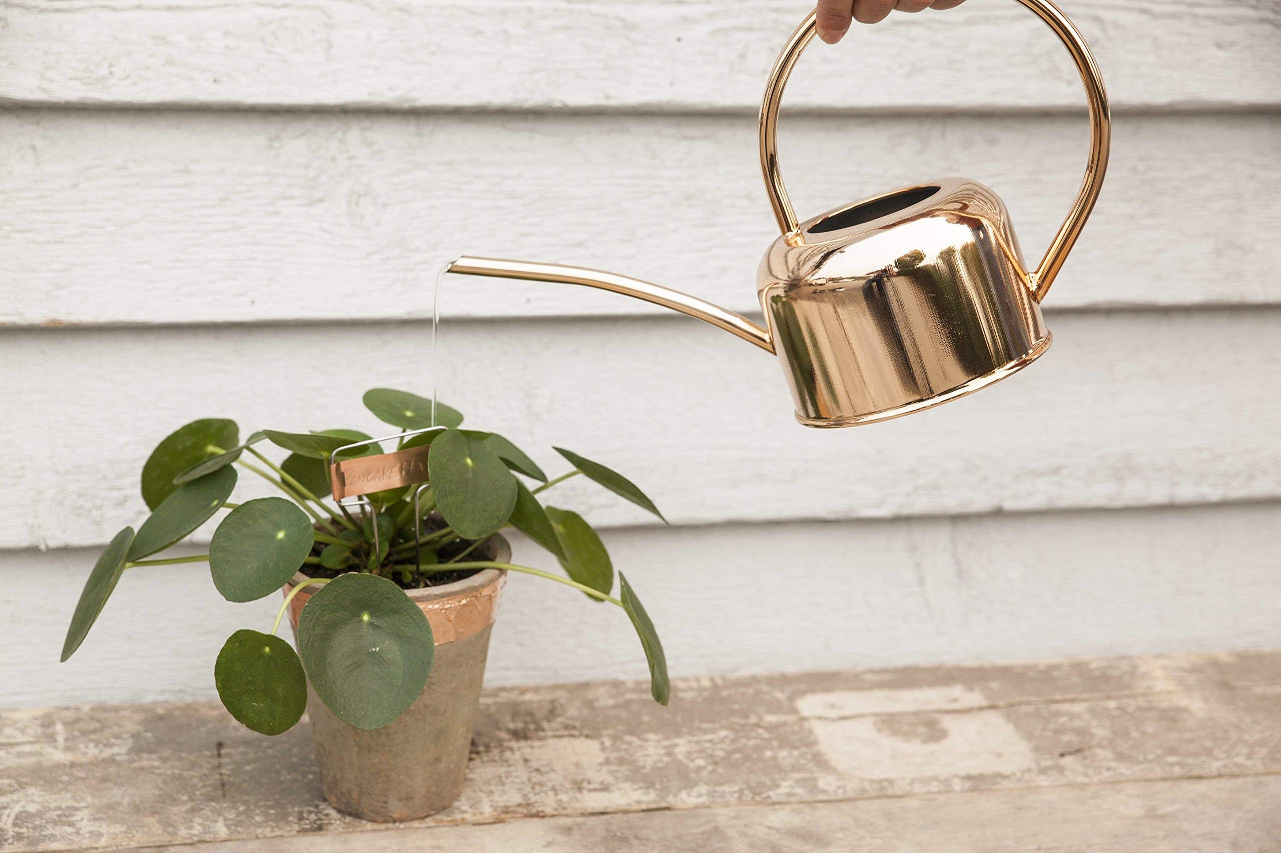 Image secondaire de Arrosoir en Cuivre Esschert - Élégance et Praticité pour le Jardin