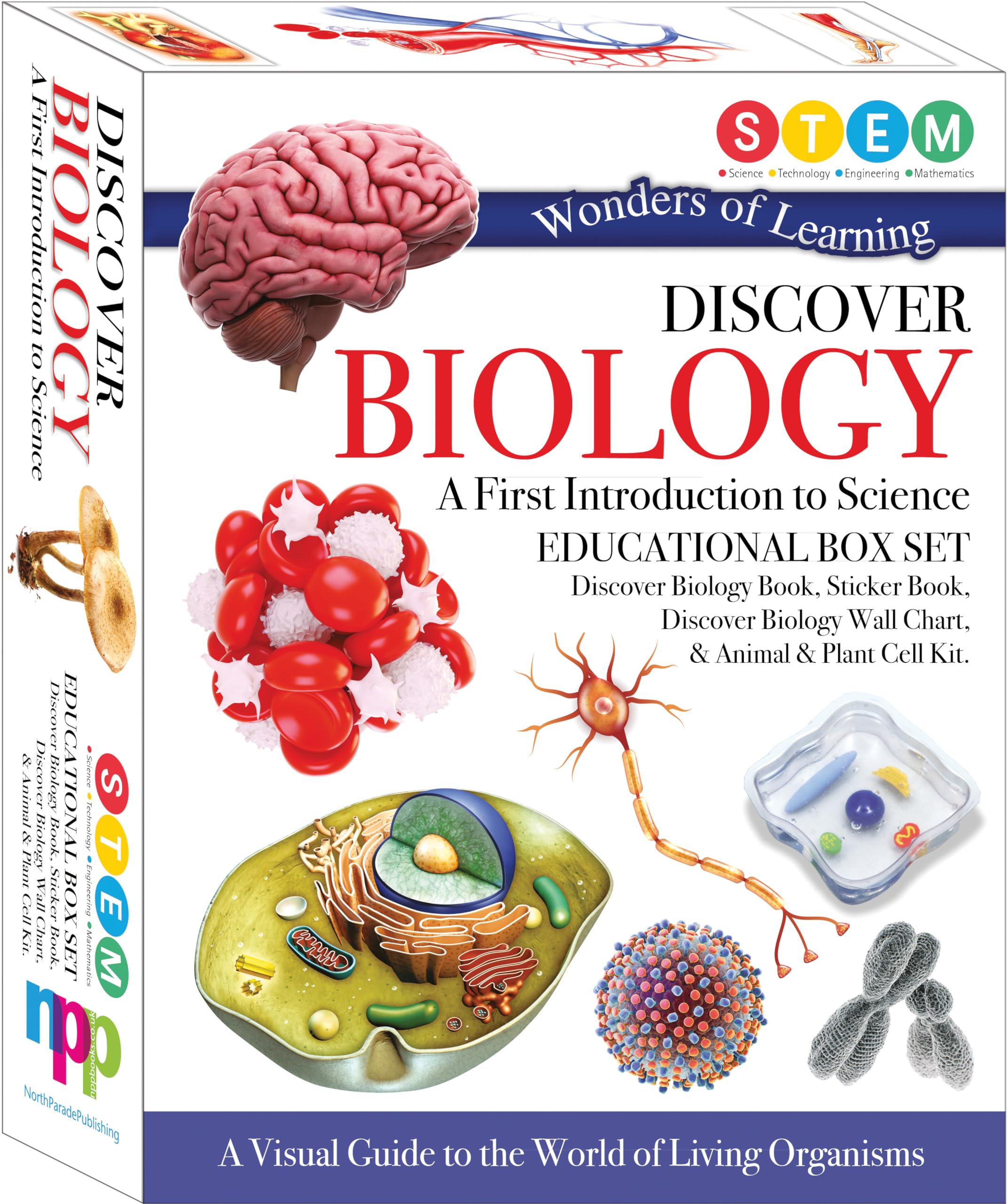 Wonders Of Learning WOLNBS25 6" Educational Box Set, Medium