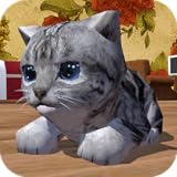 Cute Pocket Cat 3D