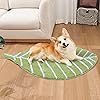 Product Photo 7