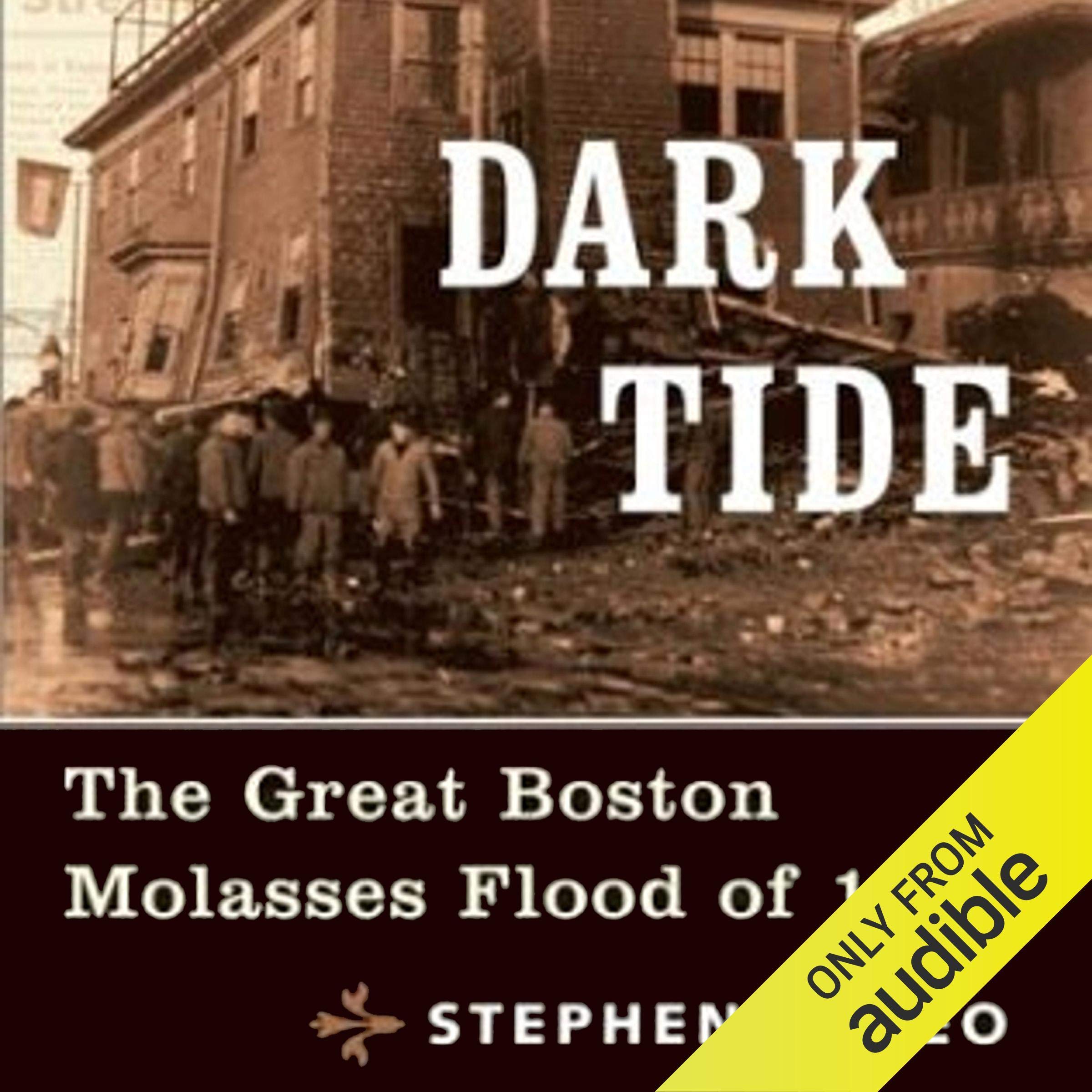 Cover art for Dark Tide