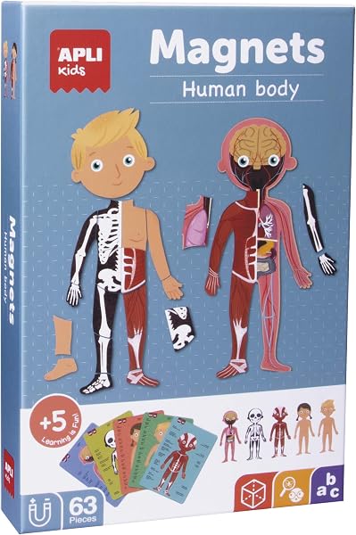 APLI Kids 18531 - Juego Magnético Educativo sobre el Cuerpo Humano para niños a Partir de 5 años - 1
