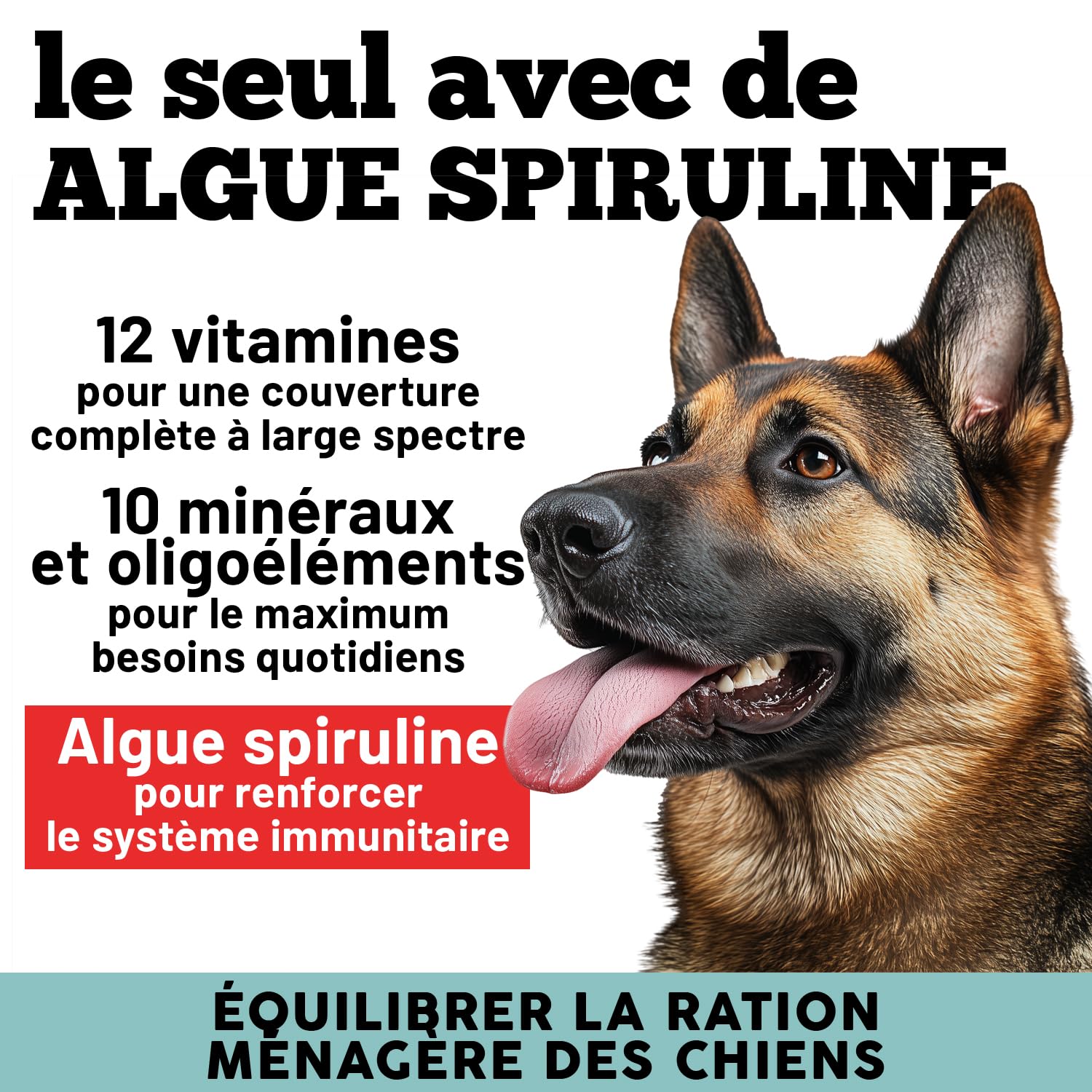 Multivitamines pour Chiens | Équilibre la Diète Maison et Barf | 12 Vitamines + 10 minéraux | avec Algue Spiruline | en Poudre | 220g