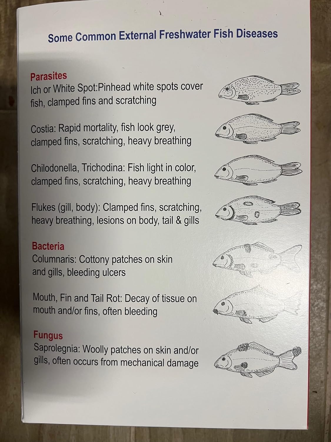 MinnFinn Regular Strength NeuFinn Aquafinn Koi Goldfish ExternaI PARASlTE lNFECTION DlSEASE FIuke Anchor Wornn FungaI GiII No Water Change Plant Compatible Aquarium Fish Food (ONE Box for 2240 Gal)