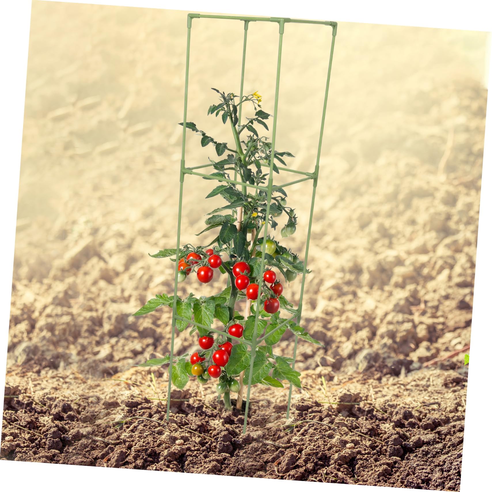 SEWACC Support pour Plantes Carré 1 Set en Fibre de Verre et PP Vert