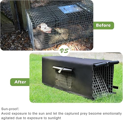 Miniatura 6 de Jaula trampa para animales vivos con cubierta, cubierta con ventana de malla para 1-2 puertas, jaula trampa plegable de 32 pulgadas de alta