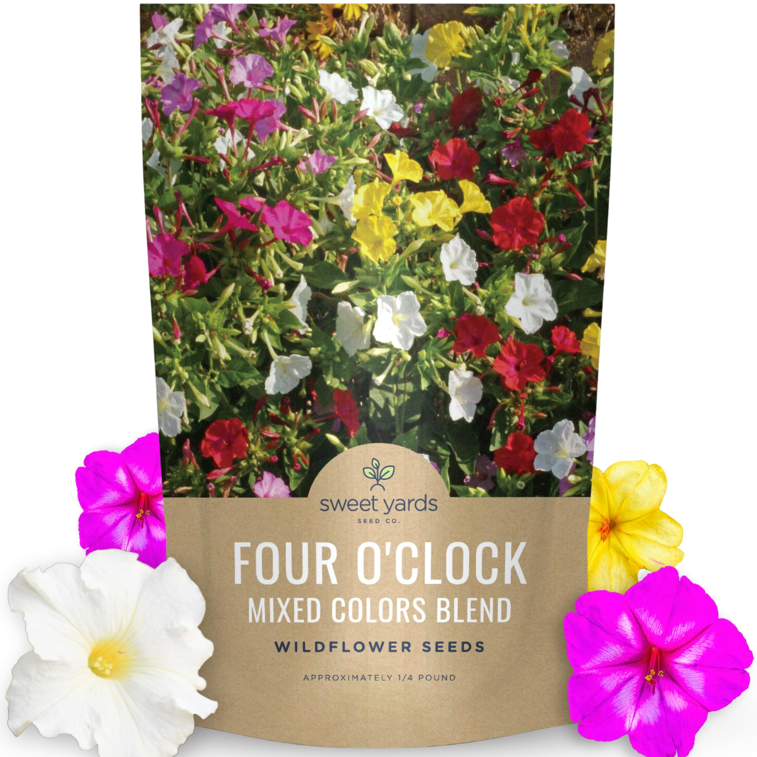 4/4 フラワー様 Grow Four-o'clock Flowers for Evening Blooms - Birds and Blooms