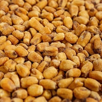 Smarty Stop Fried Roasted Salted Corn Nuts Snacks 2 Pound Pack of 1