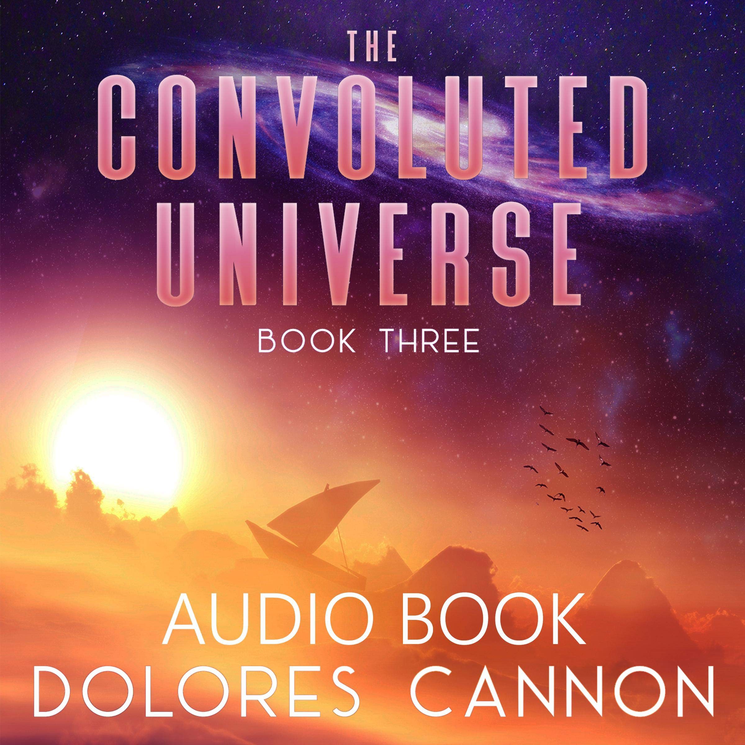 The Convoluted Universe, Book Three