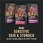 Purina Pro Plan Sensitive Skin & Stomach Wet Dog Food, Salmon & Rice - 368 g Can (12 Pack)