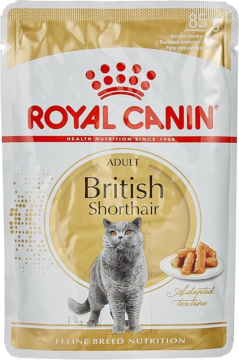 Royal Canin British Shorthair Canned 85g x 12 Pieces (2 packs)