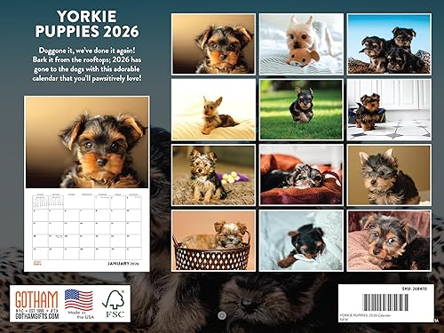 Vista 66 de Calendario Goldendoodle 2026 Golden Doodle mensual de pared calendario de 12 meses Fabricado en Estados Unidos