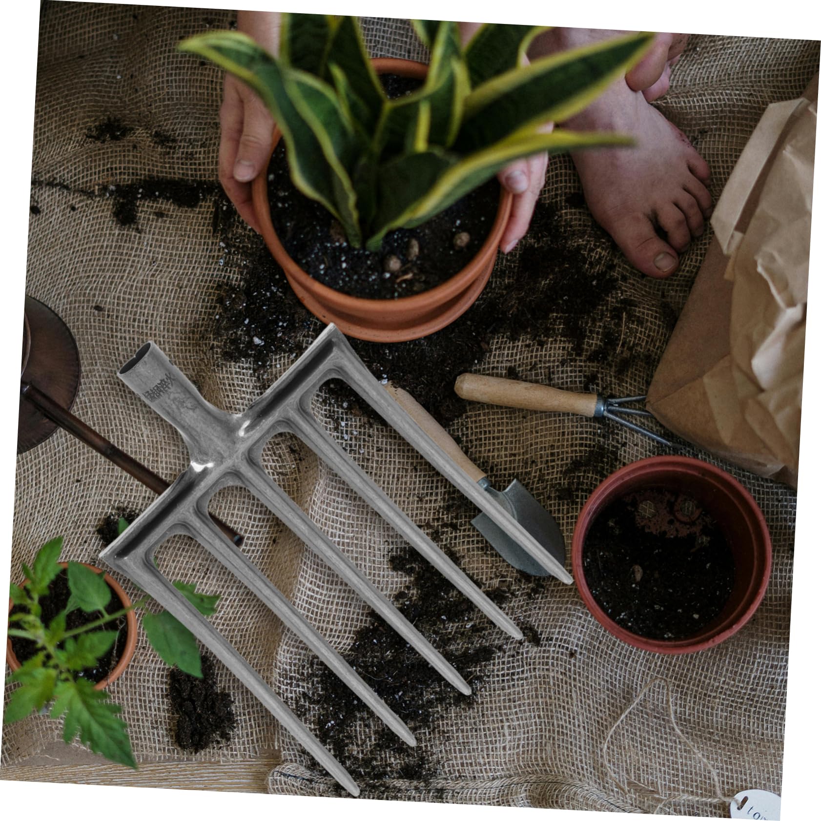 Toyvian Forca da Giardino in Acciaio 5 e 6 Denti per Scavo e Rottura Terreno, Strumento Stabile per Coltivazione e Attività Agricole in Aiuole e Orto