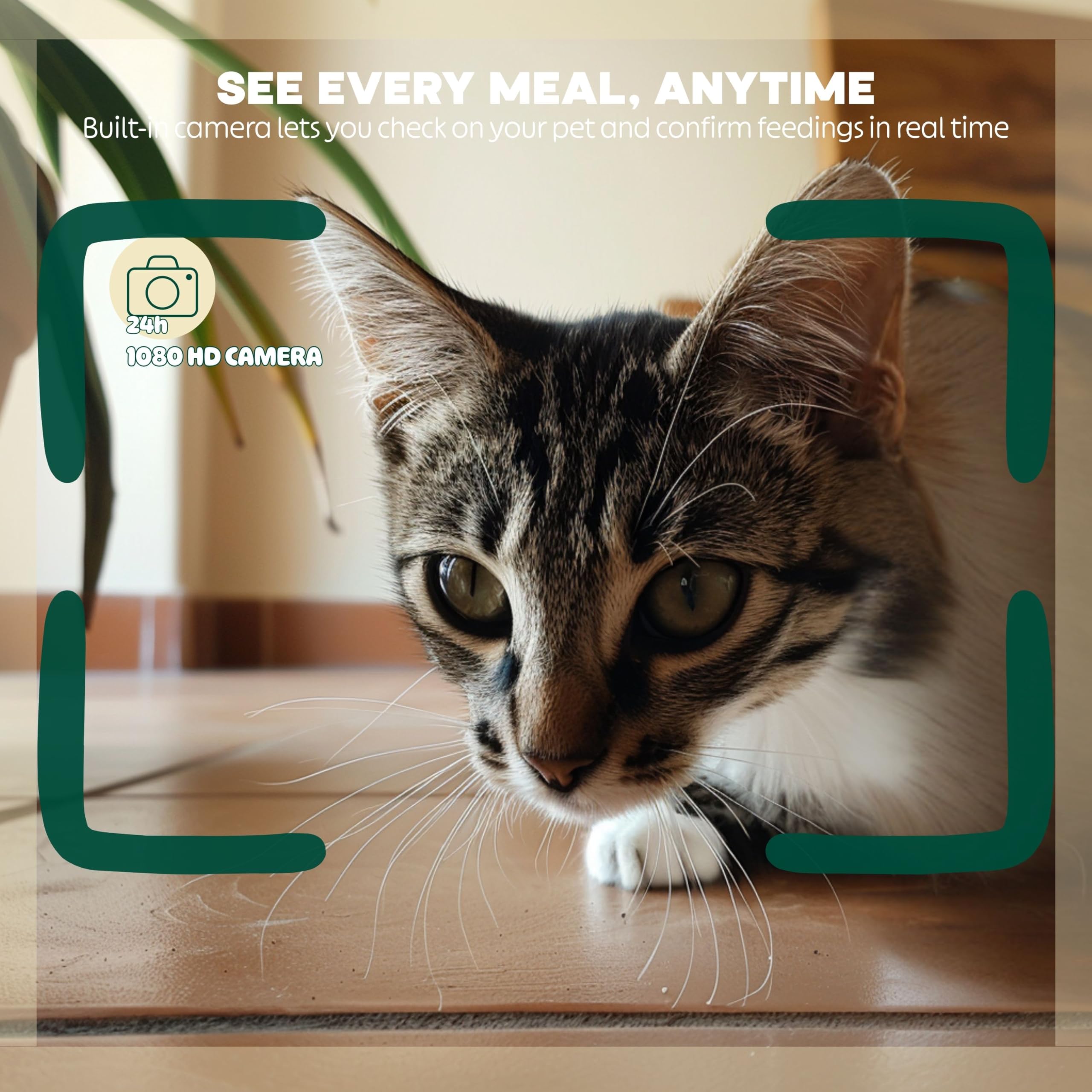 6L Automatic Cat Feeder with Camera – WiFi Smart Pet Feeder for Cats & Dogs, HD Video with Night Vision, App Control, 2-Way Audio, Portion Scheduling – White - image 3