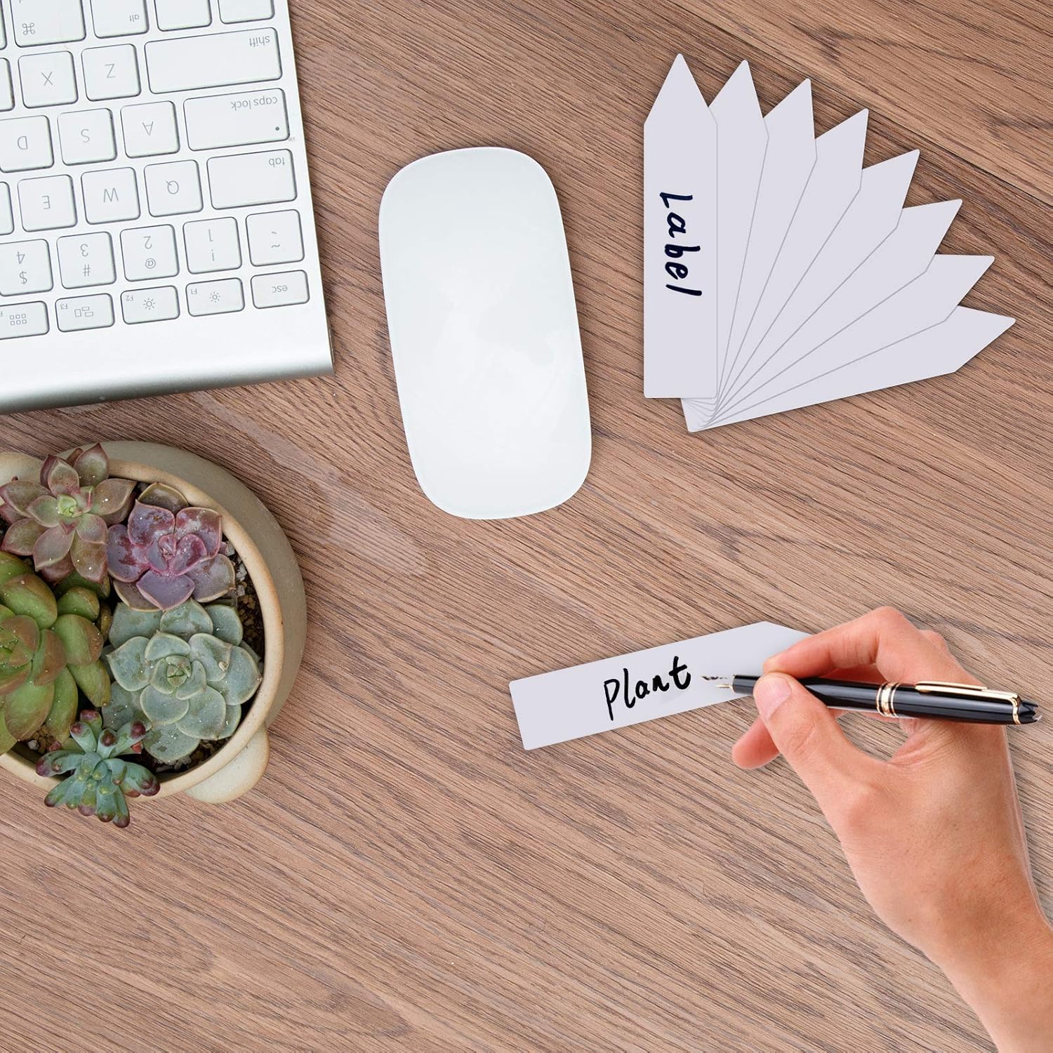 100 Pcs Garden Plant Markers Labels, 4 Inches Plastic Waterproof Nursery Plant Tags for Outdoor Flower Vegetables Seedlings Potted Herb Sign, White : Patio, Lawn & Garden