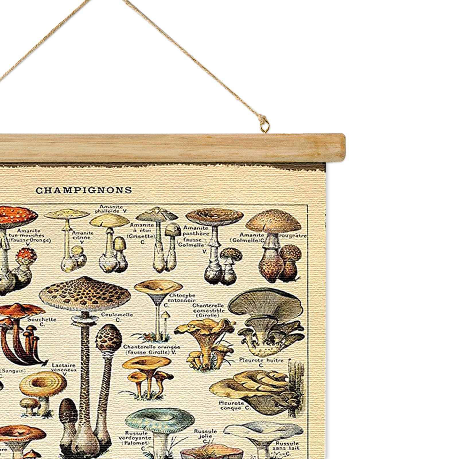 ABoby Vintage Hanging Posters, Decorative Mushroom Wall Art Prints, Printed on Linen with Wood Frames, Ready to Hang